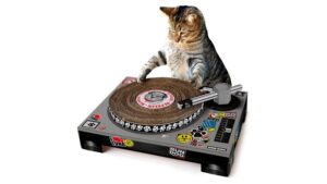 Best Cats Gadgets - DJ Decks Scratching Post