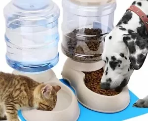 The Best Automatic Feeders for Cats and Dogs of 2022