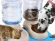 The Best Automatic Feeders for Cats and Dogs of 2022