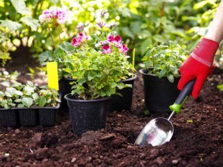 20 of the best garden gadgets for 2022