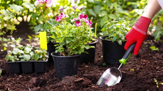 20 of the best garden gadgets for 2022