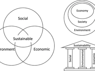 Education for Sustainability: Empowering Change through Environmental Awareness