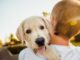 Easy Pet Care Tips for First Time Pet Parents